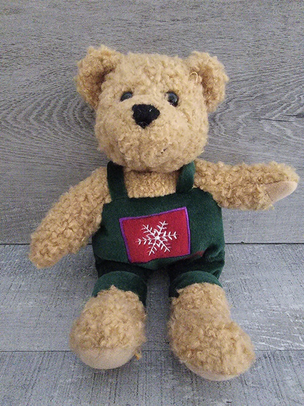 Boy Hallmark His & Hers 9" Christmas Teddy Bear Plush Beanie Green Overalls